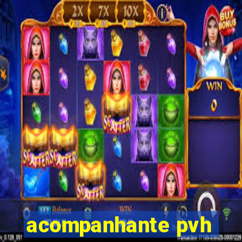 acompanhante pvh